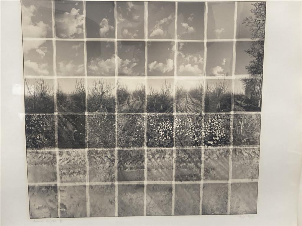 Noel Myles (1947-) limited edition print, Orchards, Jan/Feb,